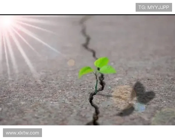 贝卡贝卡自杀事件后两年重返赛场用进球书写生命的坚韧与重生